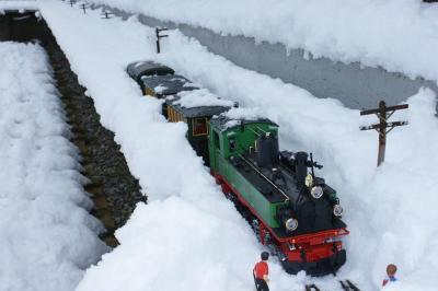 mallet en la nieve